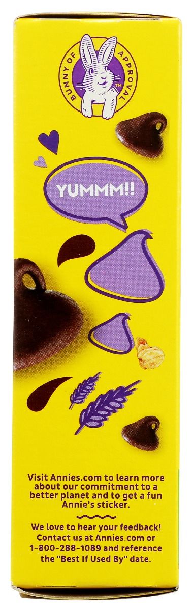 Annie's Homegrown Organic Dipped Granola Bars Chocolate Chip - 5Pk/4.6 oz