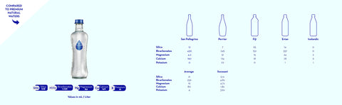 Socosani Sparkling Mineral Water Glass Bottle - 12 fl oz
